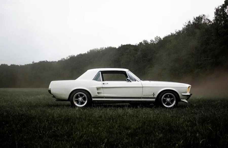 Cars
