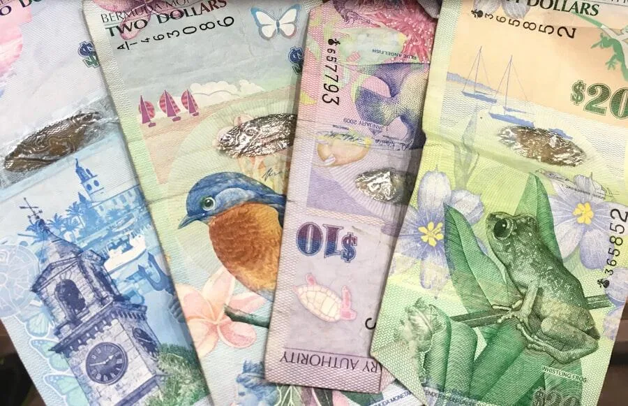 loans