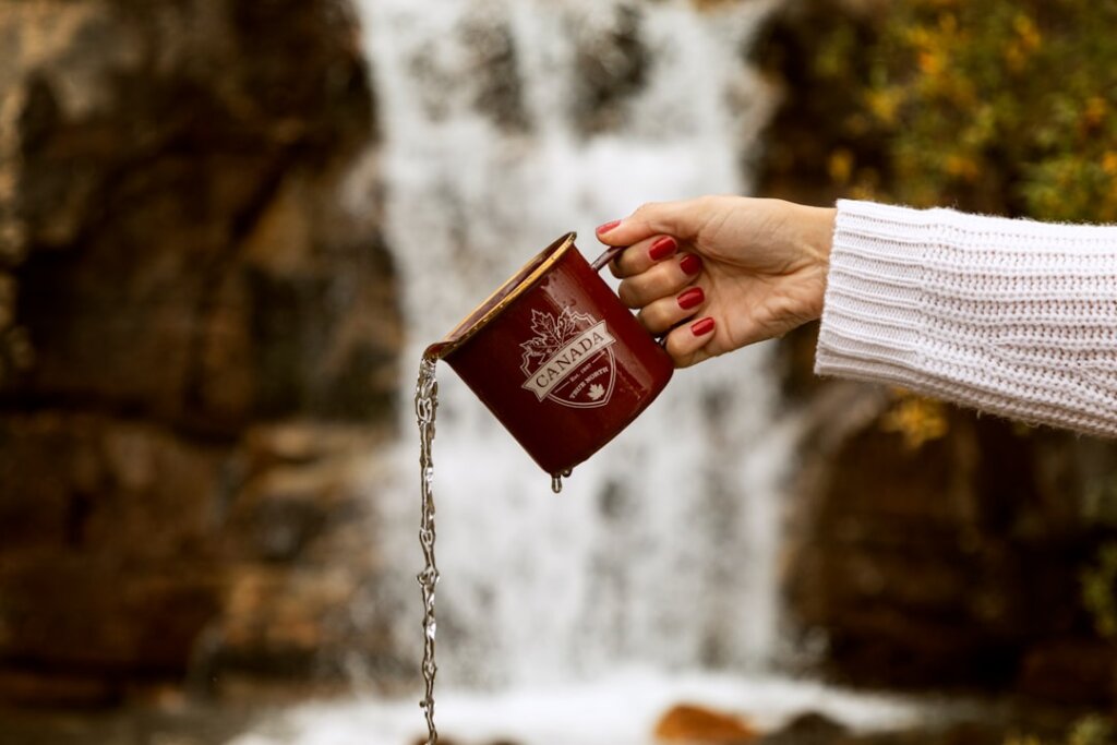 Photo credit with passport