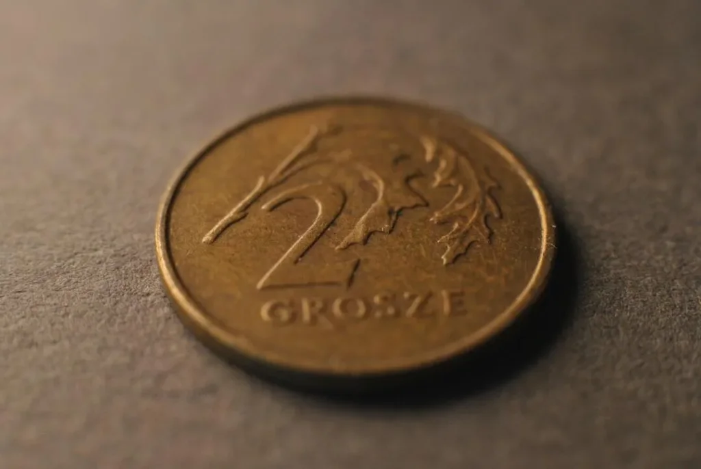 Photo kredīts
