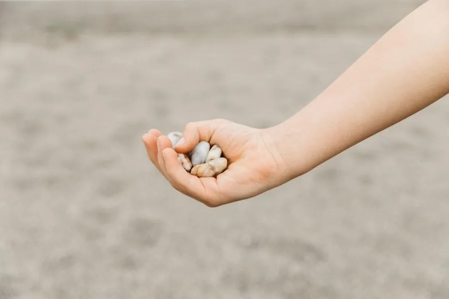 first loan without interest