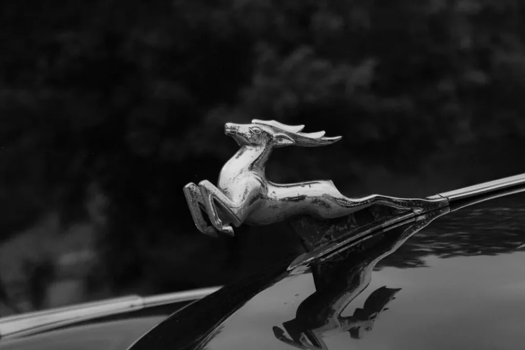 Photo Auto loan with bad credit history