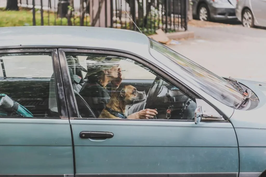 Photo auto loan pension age