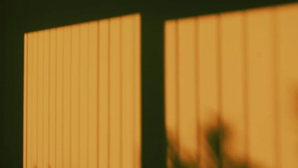 Photo Naudas aizdevums